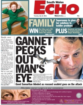 Gannet pecks out man's eye - South Wales Echo